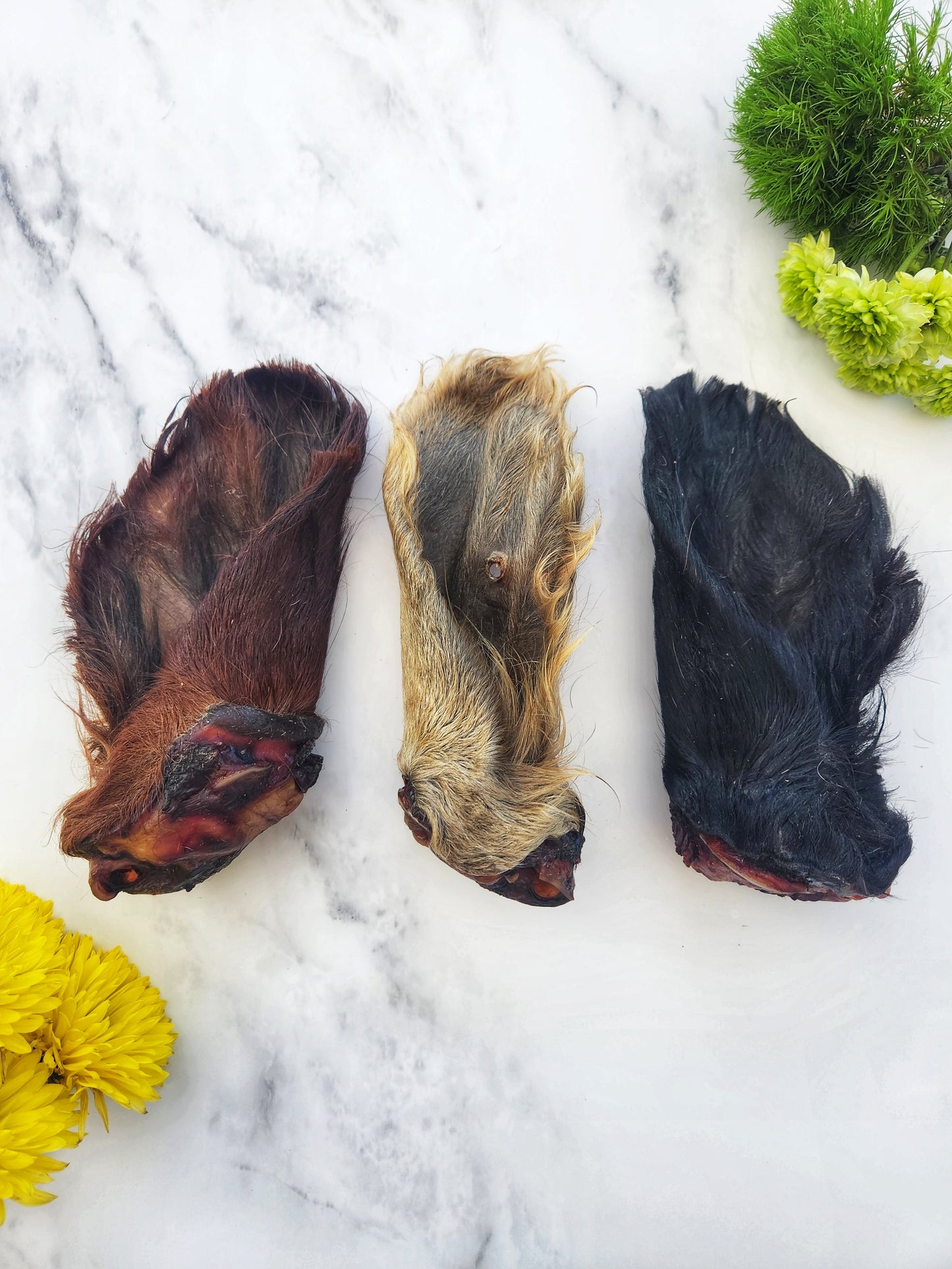 Dehydrated Beef Ear with Hair for Cats & Dogs — All-Natural