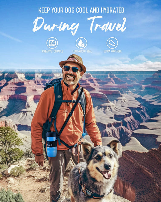 Foldable Dog Water Bottle-3rd Gen
