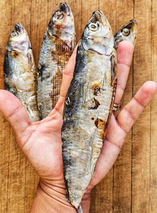 Dehydrated Wild-Caught Sardines for Cats & Dogs — 100%