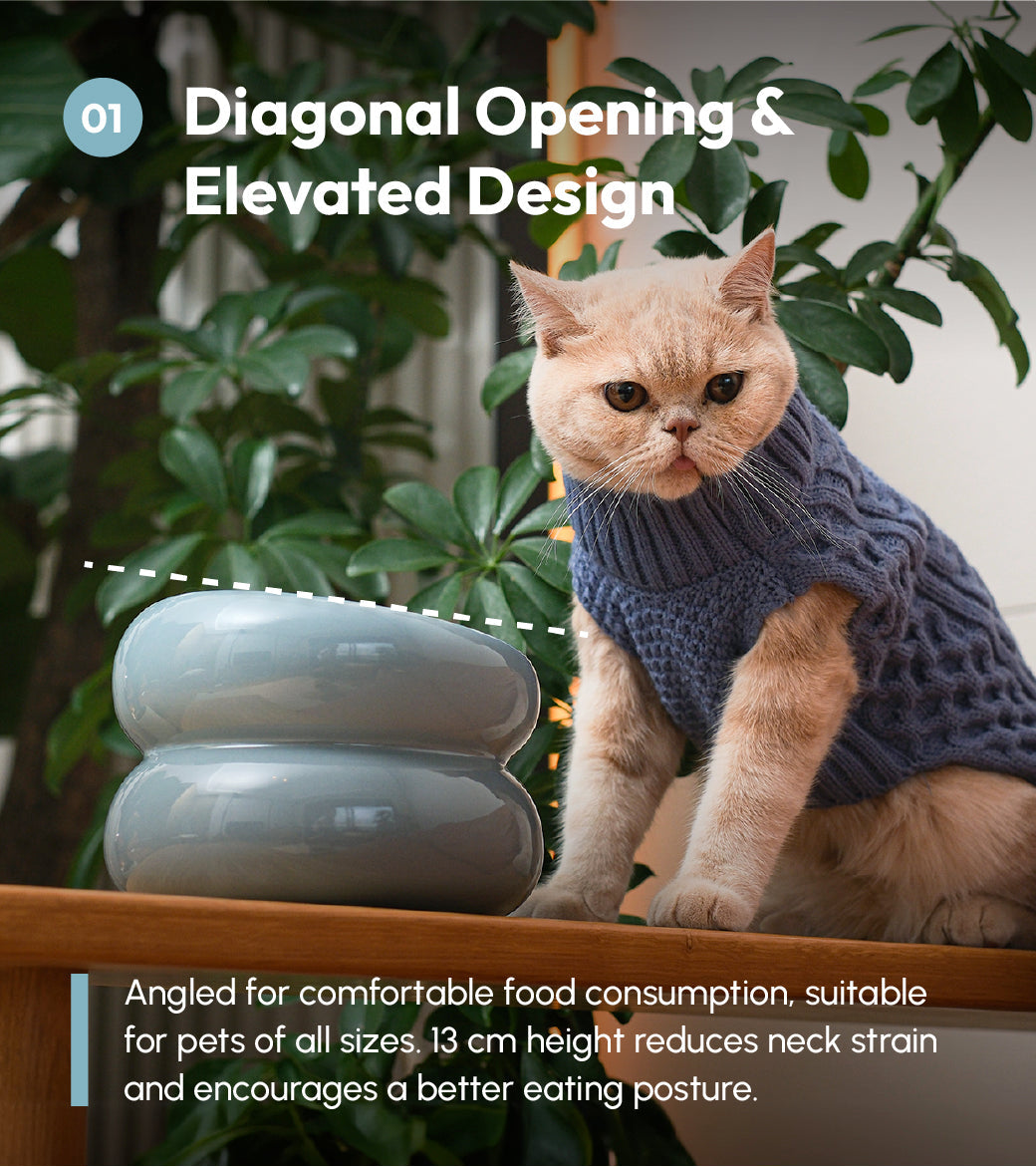 Ceramic Elevated Pet Bowl Ergonomic Dining for Cat and Dog