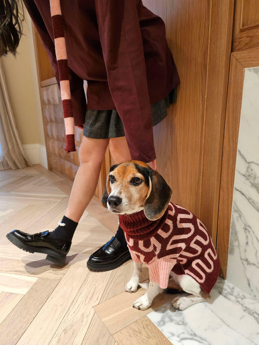 Rosé Bliss Thin Useless Striped Scarf (Free with Matching Sweater Purchase)