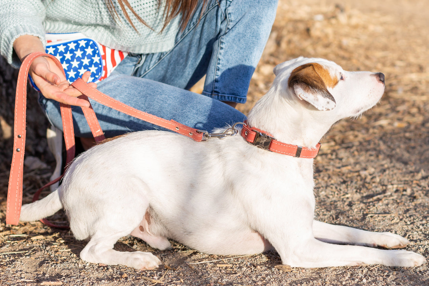 Dog Collar Pro Line Hunting Coral Reef Leather Leash Essenti - detail product image for dog collar
