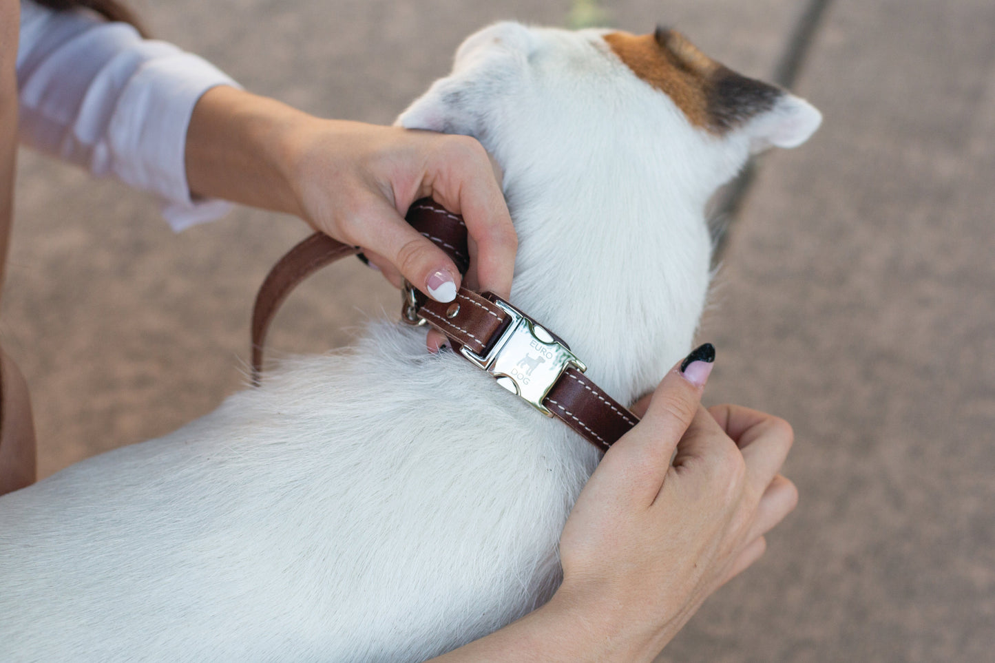 Dog Collar Pro Line Quick-Release Chocolate Leather Collar - size and texture image for dog collar
