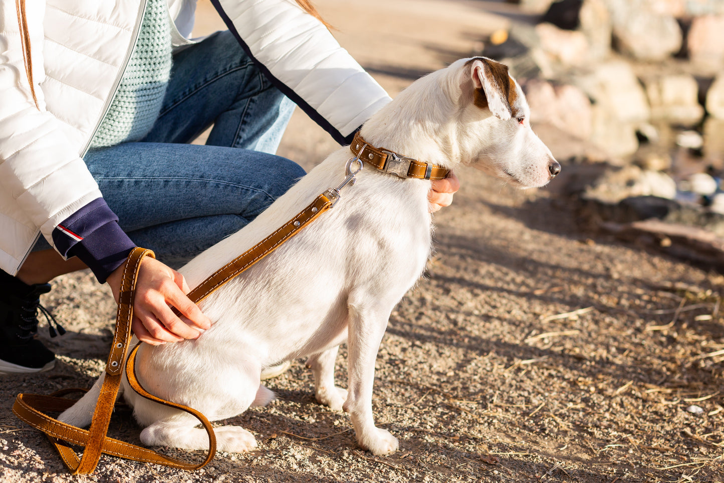 Dog Collar Pro Line Quick-Release Earth Brown Leather Collar - size and texture image for dog collar