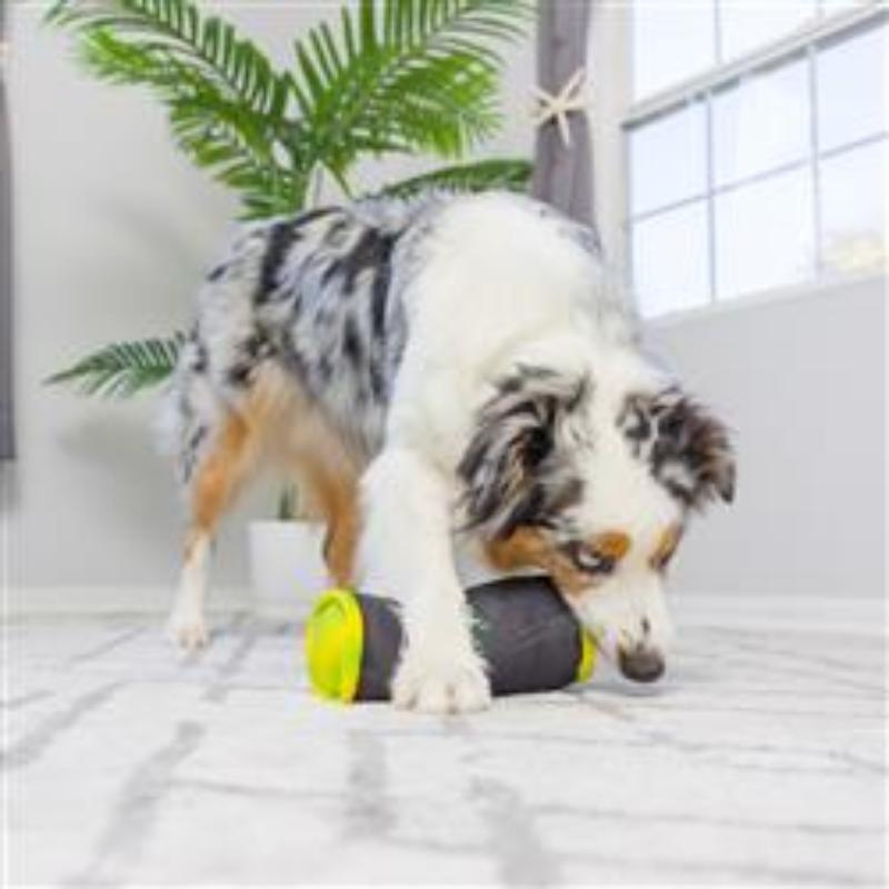 Muttster Energy Plush Dog Toy