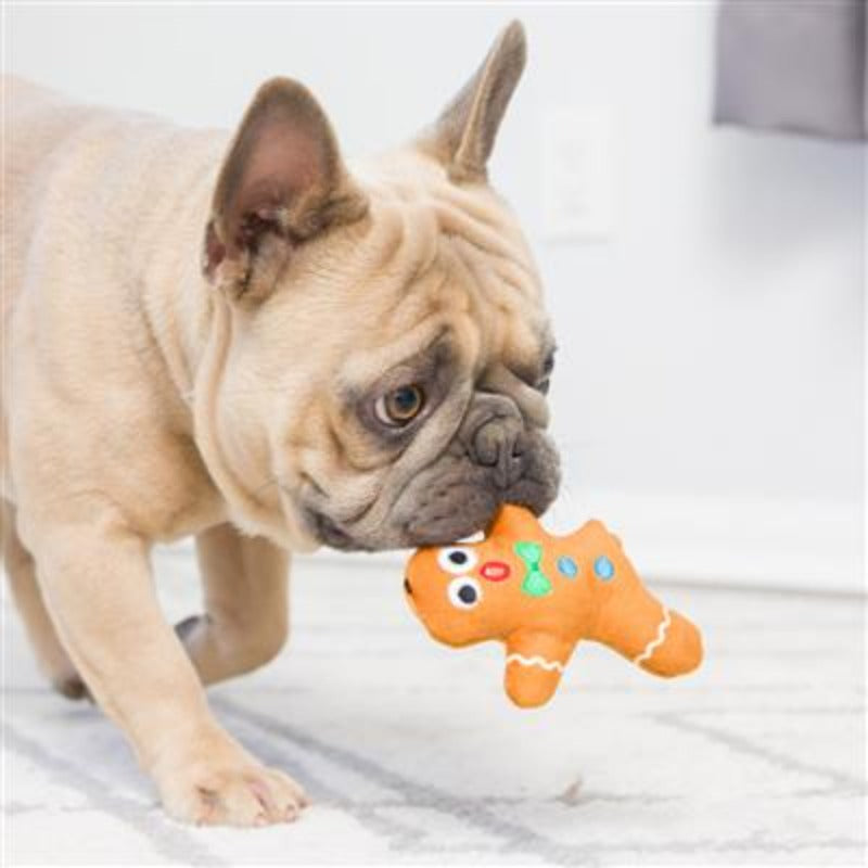 Holiday Dunk & Crunch Dog Toys - 2pk