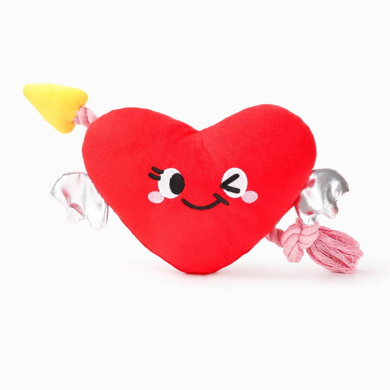 Woof Love Heart & Arrow Rope Plush Pet Toy