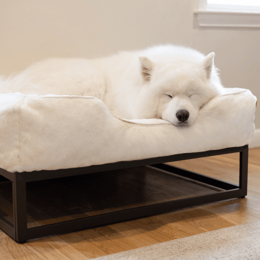 The FÜZI Dog Bed