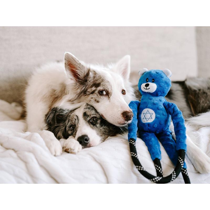 Hanukkah RopeTugz Bear Dog Toy