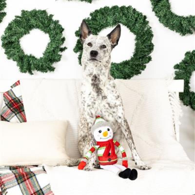Too Cute to Chill Plush Dog Toy