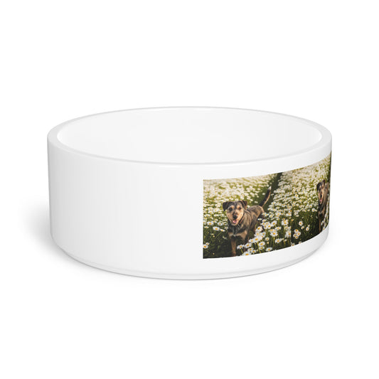 Danish-Swedish Farmdog Pet Bowl