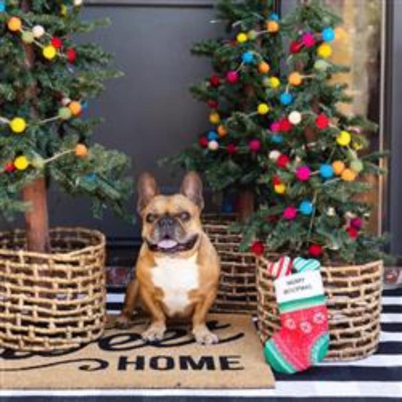 Merry Woofmas Hide & Seek Plush Dog Toy by Fringe Studio