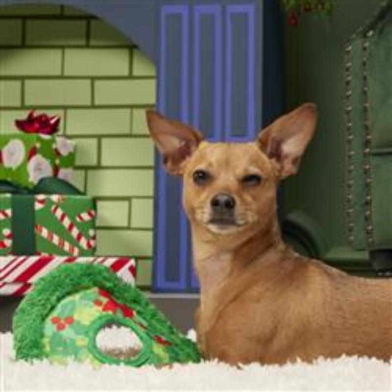 Wreath Toss Dog Toy