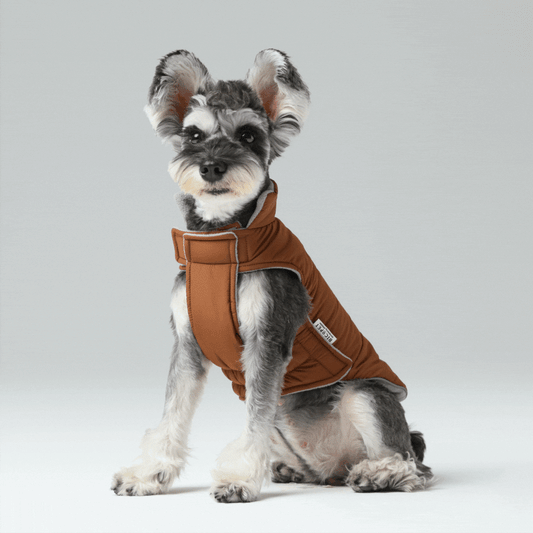 Dog Apparel Active Outdoor Wear Adjustable Grey Comfort - detail view