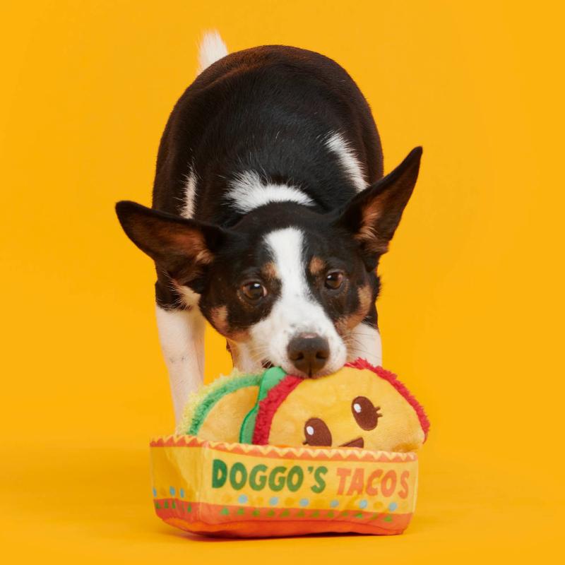 Doggos Tacos Plush Dog Toy Set - 3 Pc