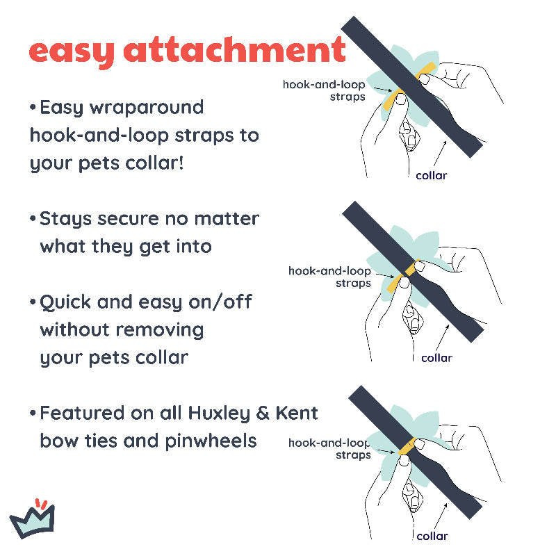 Cinco Fiesta Pinwheel Pet Collar Attachment - 2 Sizes