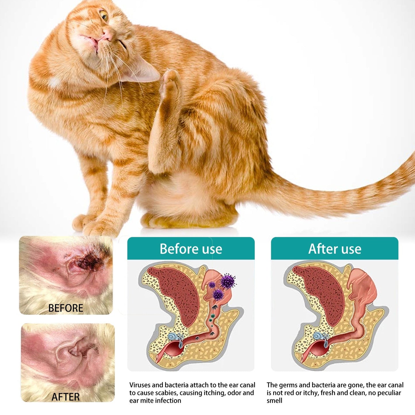 Pet Ear Cleaning Finger Sleeves for Cats and Dogs Ear Mite and Earwax Care Ear Canal Cleaning Finger Sleeves