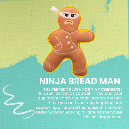 Ninja Bread Man