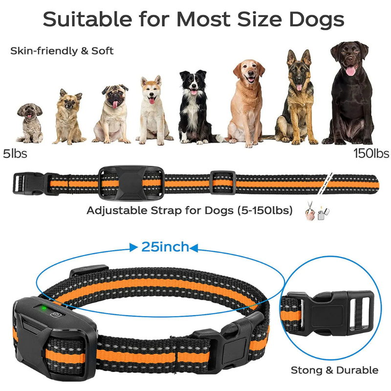 Dog Training Collar Waterproof Remote Shock 15.1oz ๐
