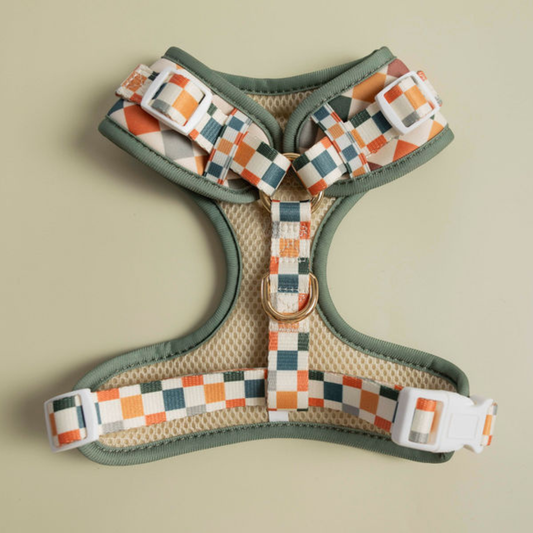 Sage & Cider Adjustable Dog Harness by Purrfect Pet Kingdom: Checkered mesh in green and orange with gold D-rings.