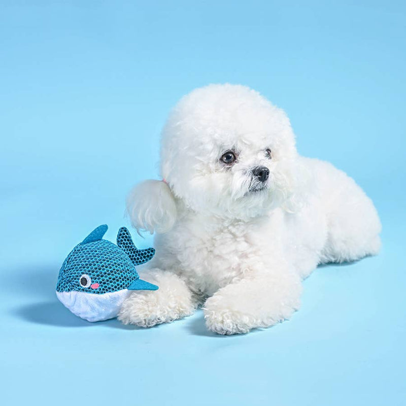 Ocean Pals Blue Dolphin Ball Dog Toy