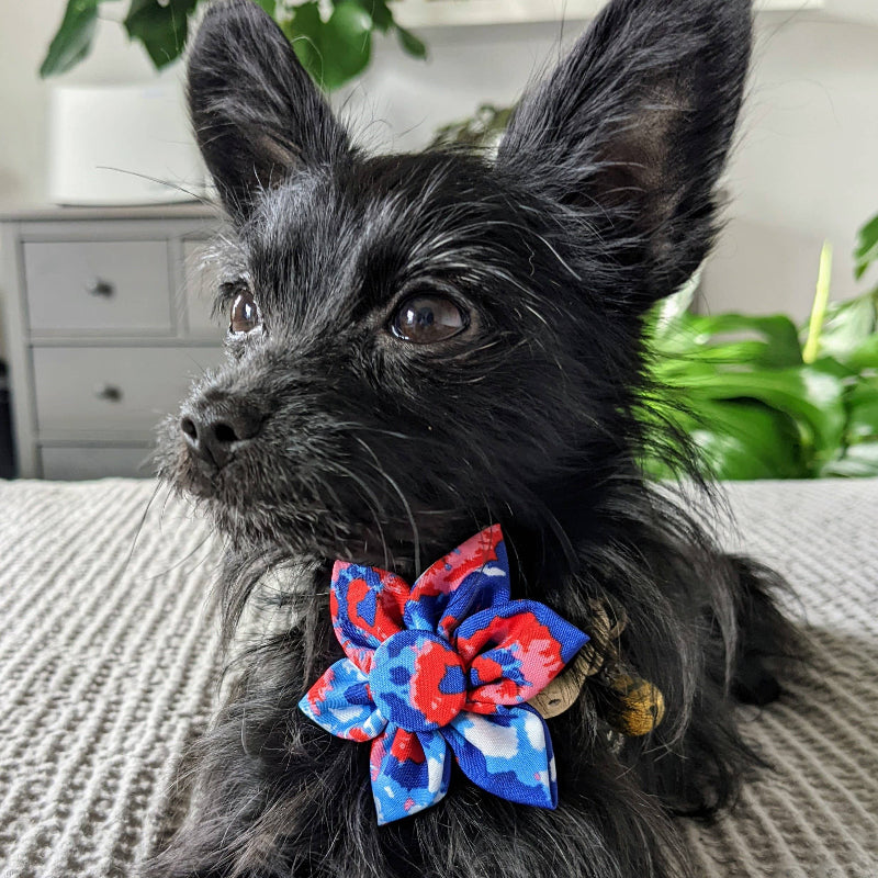 American Tie Dye Pinwheel Pet Collar Attachment - 2 Sizes