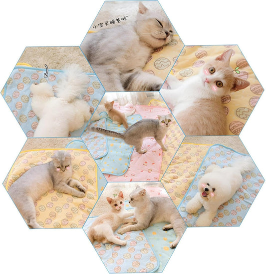 Keep Your Pet Cool All Summer With Cooling Mat For Cats And