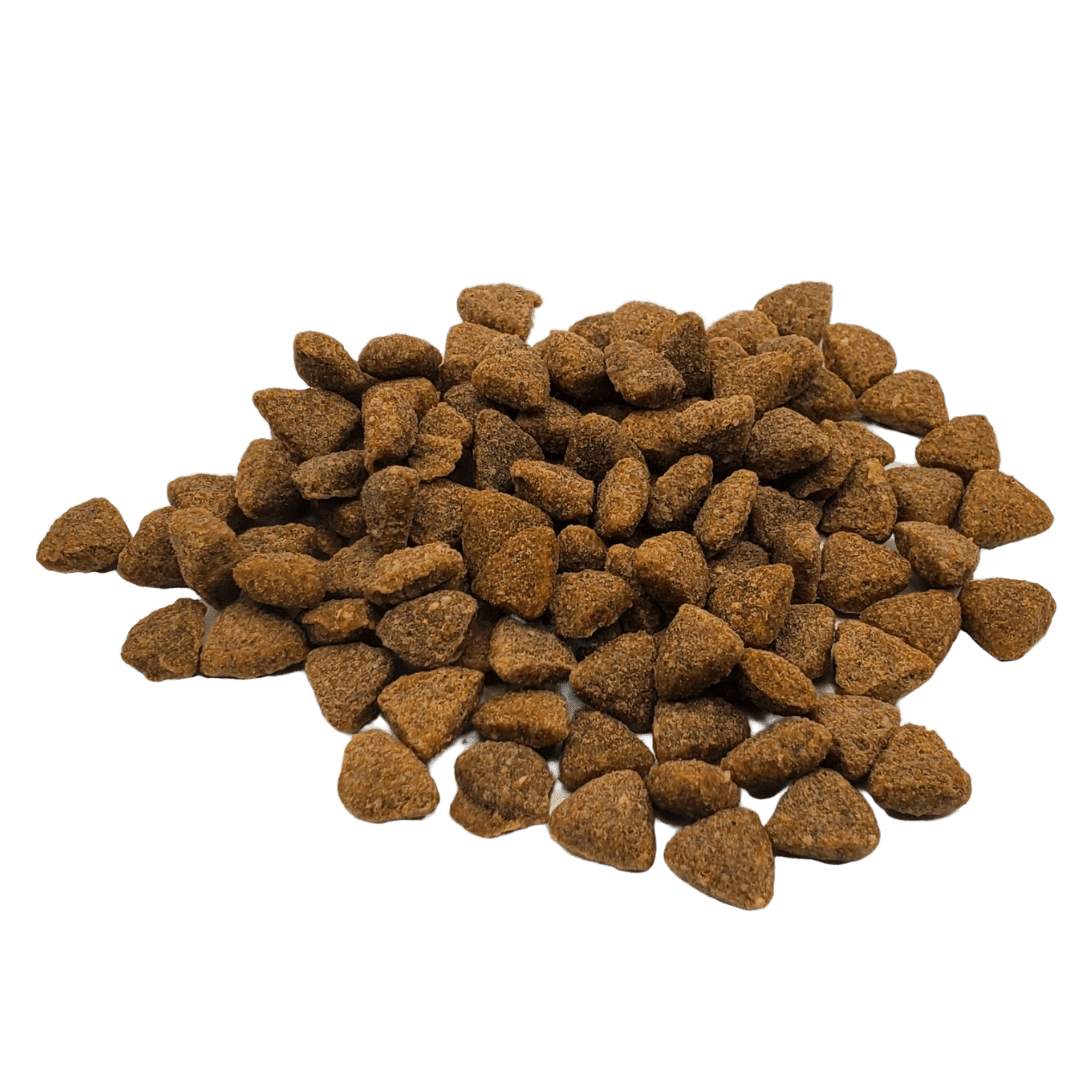 Dry Cat Food Salmon Chicken Whitefish 1.75 Lb Rawz ๐