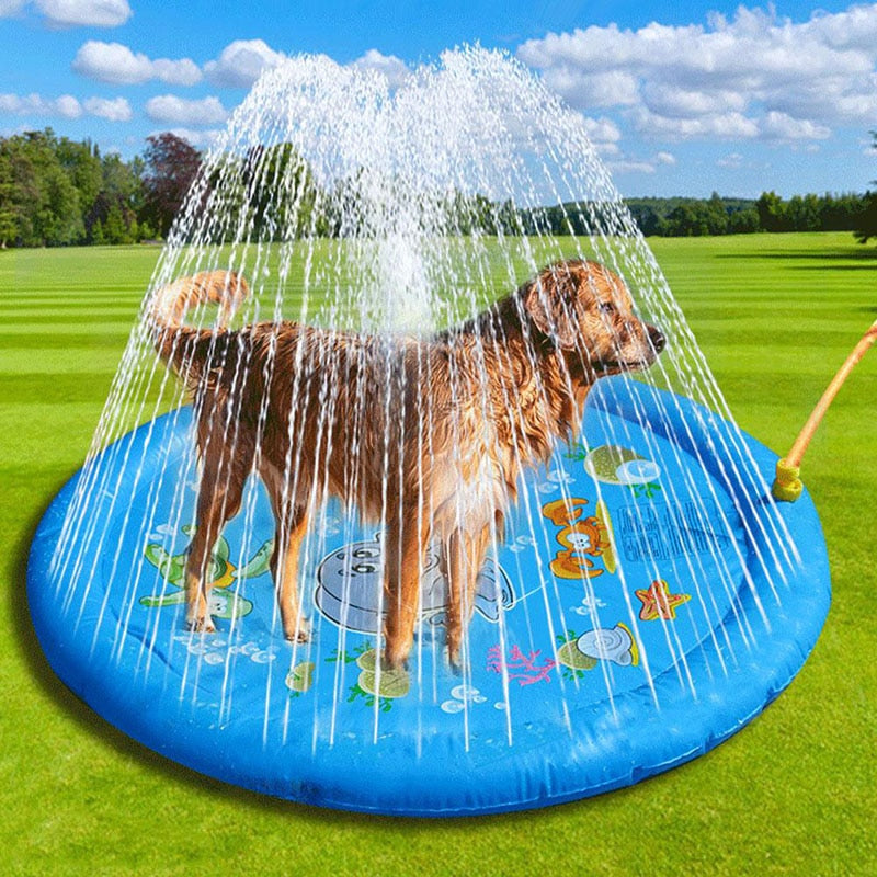Dog playing in a blue inflatable sprinkler pad on a grassy field with a blue sky.