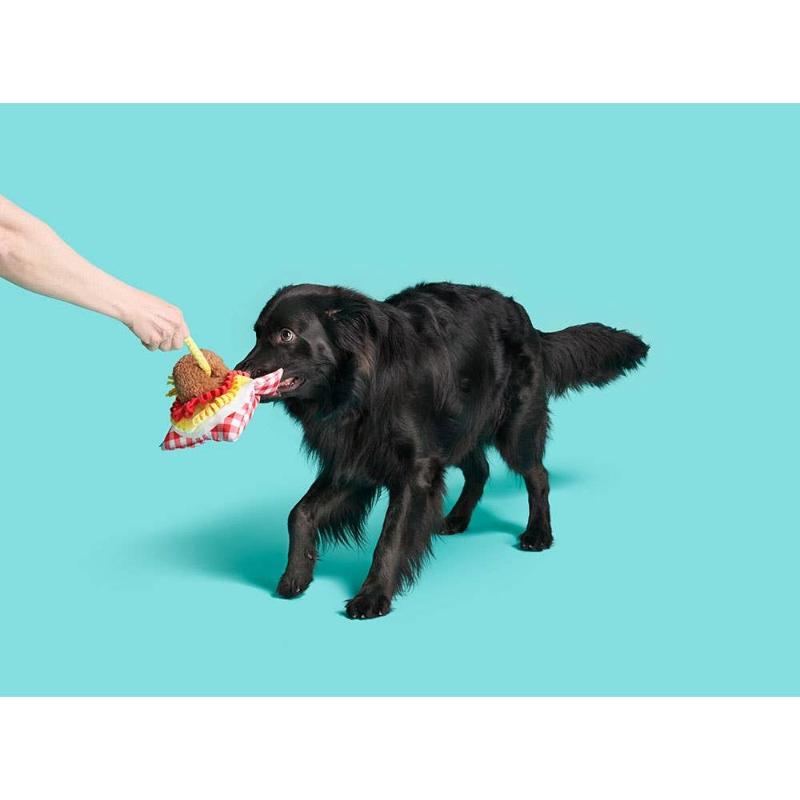 Spaghetti and Meatballs Medley Dog Toy