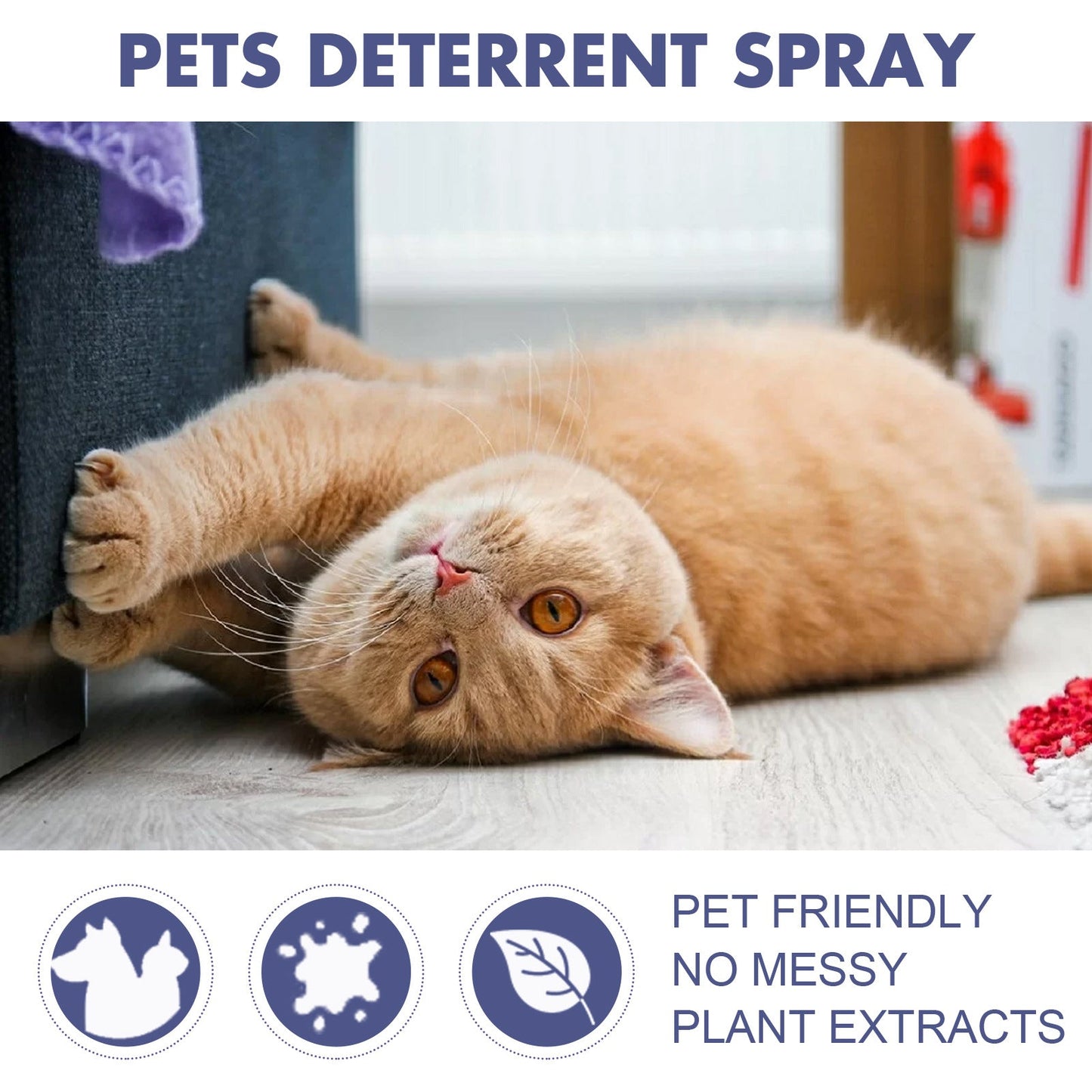 Pet Anti-Scratch Spray Exclusion Zone Set Up Spray Cat And Dog Scratching Door Sofa Anti-Scratch Solution - Purrfect Pet Kingdom