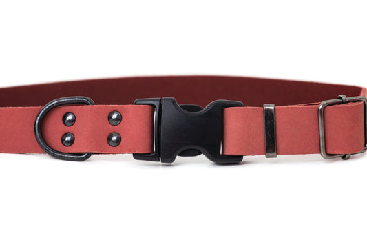 Sport Style Coral Reef Leather Dog Collar - Dog Harnesses - Euro - Dog Collars and Leads