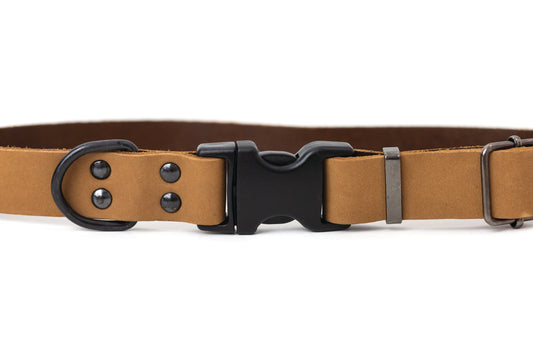 Sport Style Khaki Leather Dog Collar - Dog Harnesses - Euro - Dog Collars and Leads