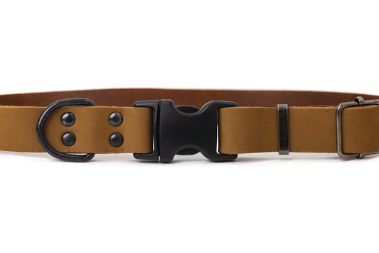 Dog Collar Sport Style Earth Brown Leather Collar Essential - detail product image for dog collar