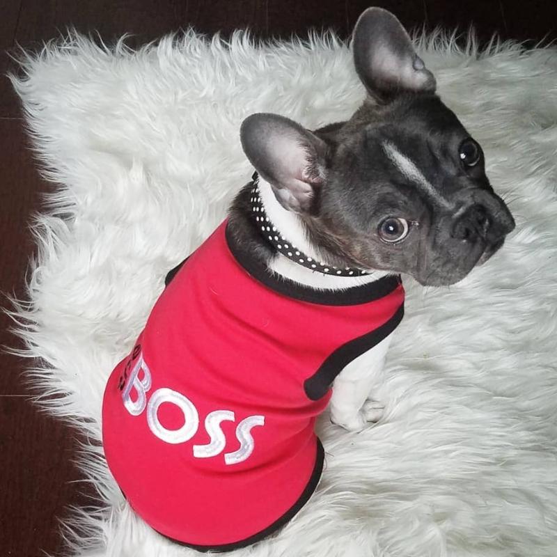 The Boss Red Dog Tee