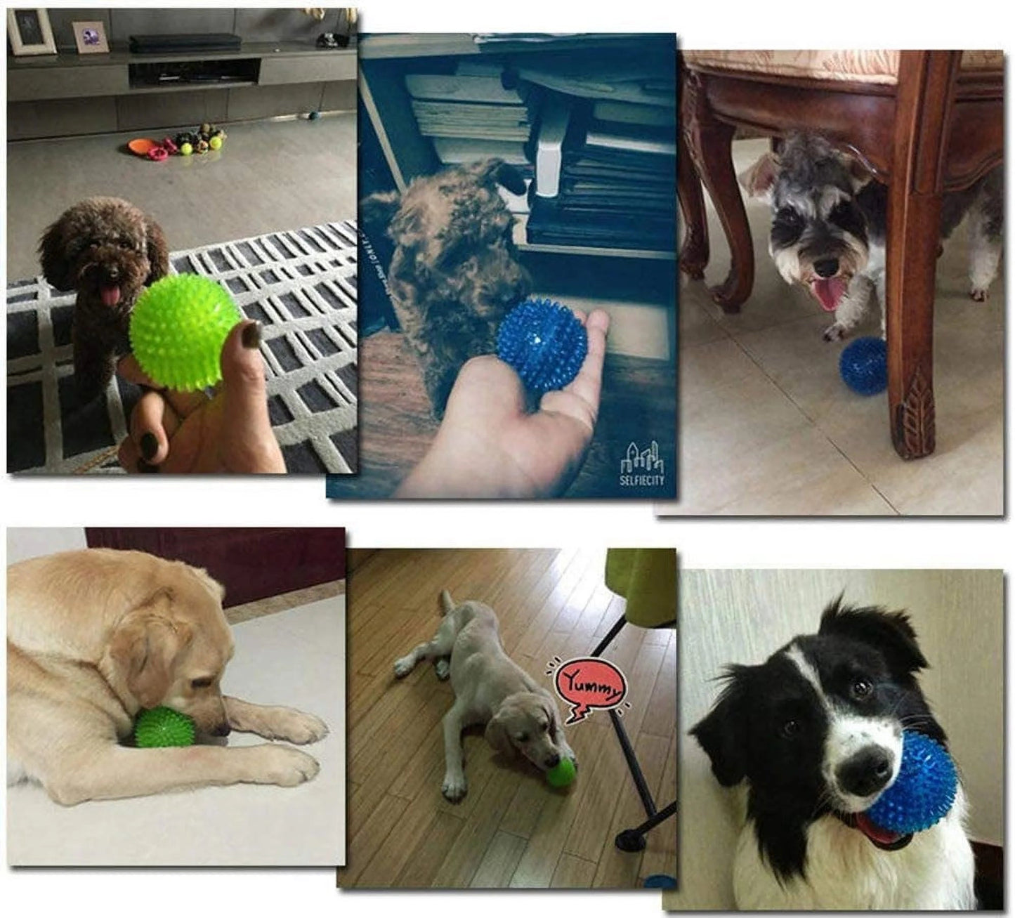 Durable Dog Toy Ball with Squeaker – Teeth Cleaning, Chew - Resistant, High Bounce Toy for Medium Dogs - Elevate Marketplace