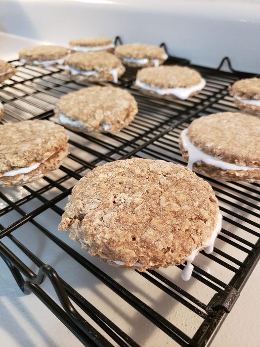 š¾ Oatmeal Organic Cream Pie Dog Treats ā Gluten Free
