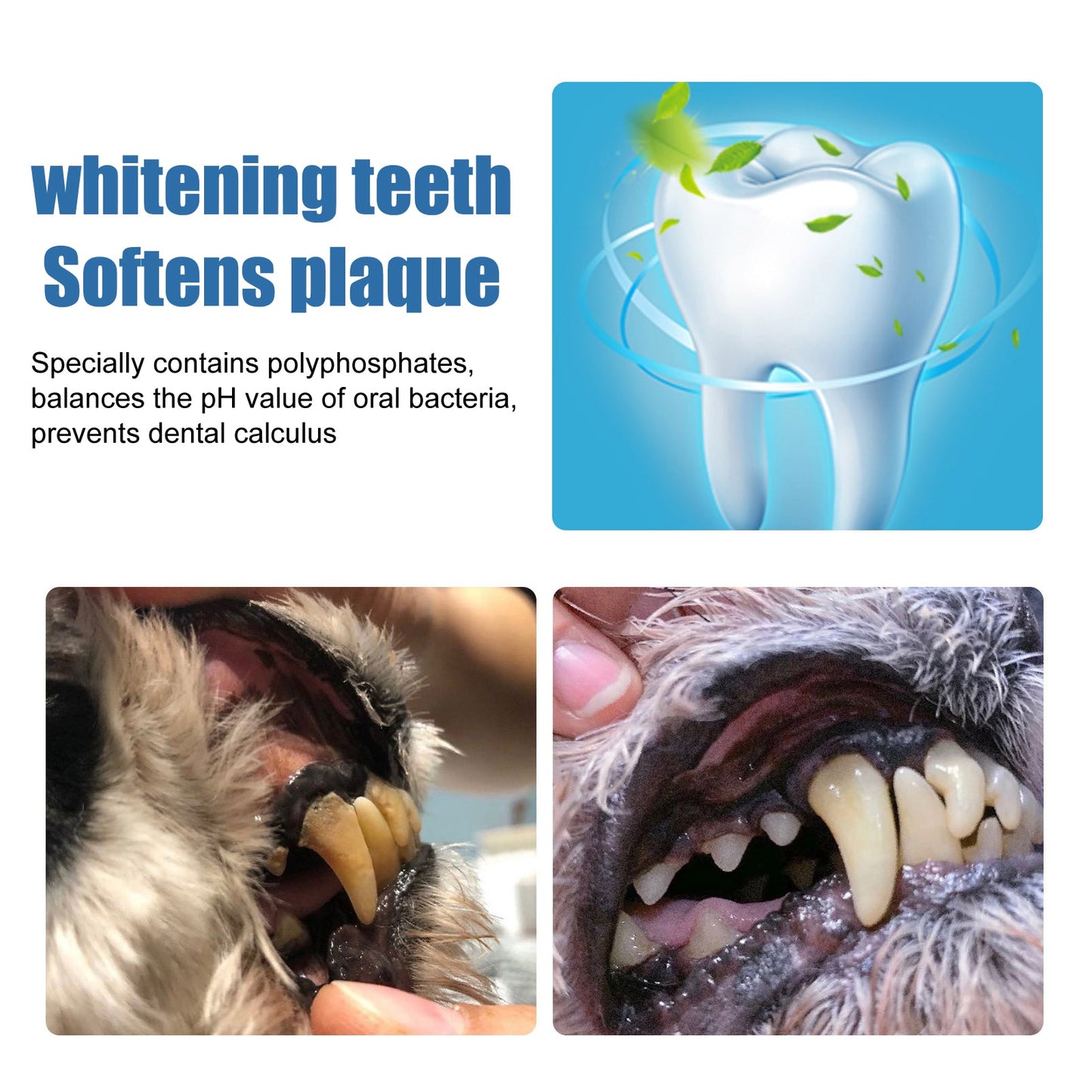 Pet Tartar Remover, Removing Dental Calculus Yellow Teeth Halitosis Cleaning Teeth Mouth Foam Cleaner - Purrfect Pet Kingdom