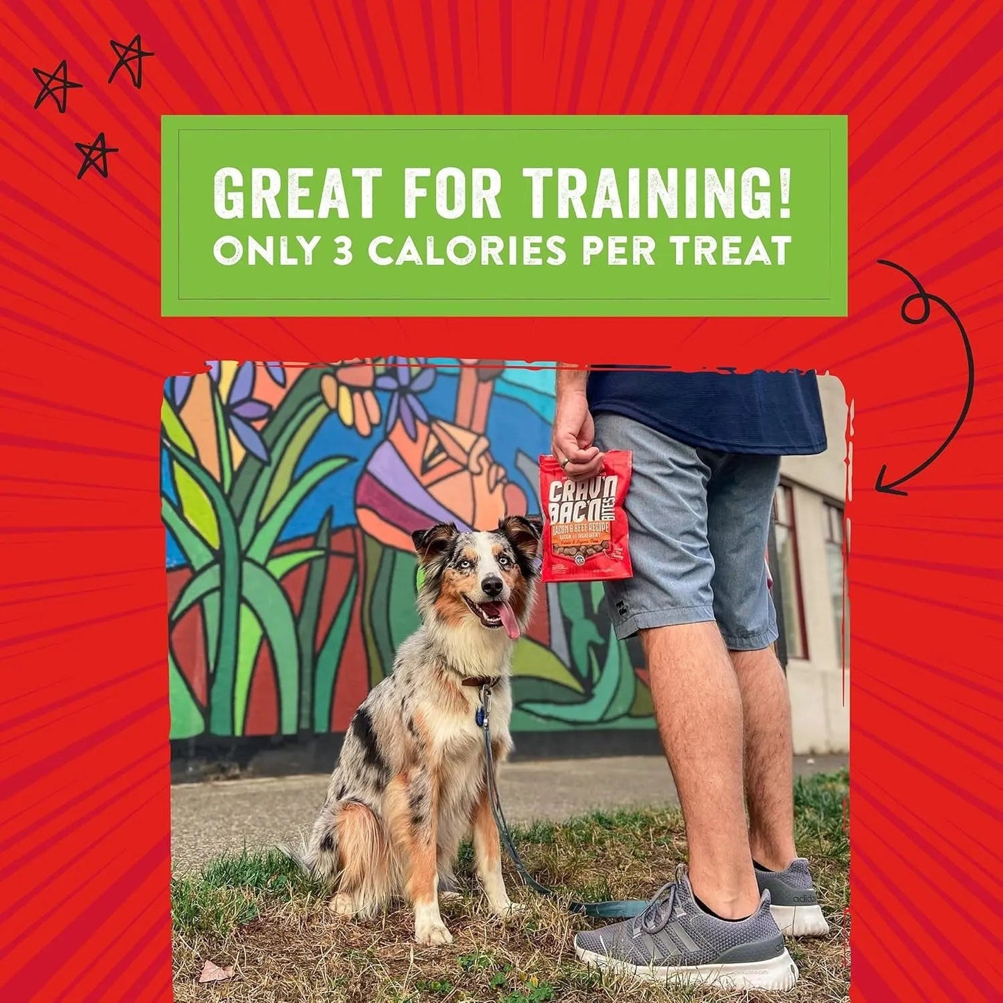 Training Dog Treats - CravN BacN Soft Bacon & Duck Bites -