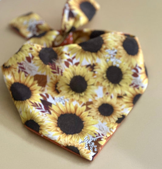 Sunflower Dog Bandana - detail view