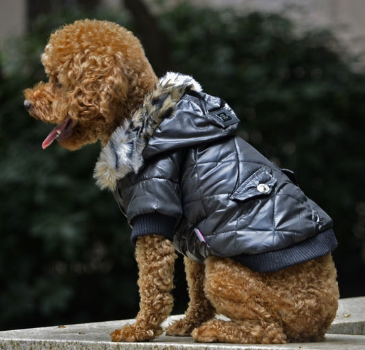 Dog Coat Winter Fur Collar Jacket for Small & Large Dogs