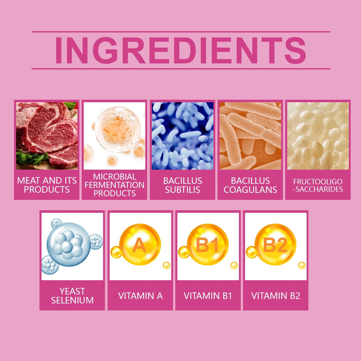 Dog Probiotic Tablets To Improve Intestinal Health, Balance Digestion And Absorption Of Pet Nutritional Supplements - Purrfect Pet Kingdom