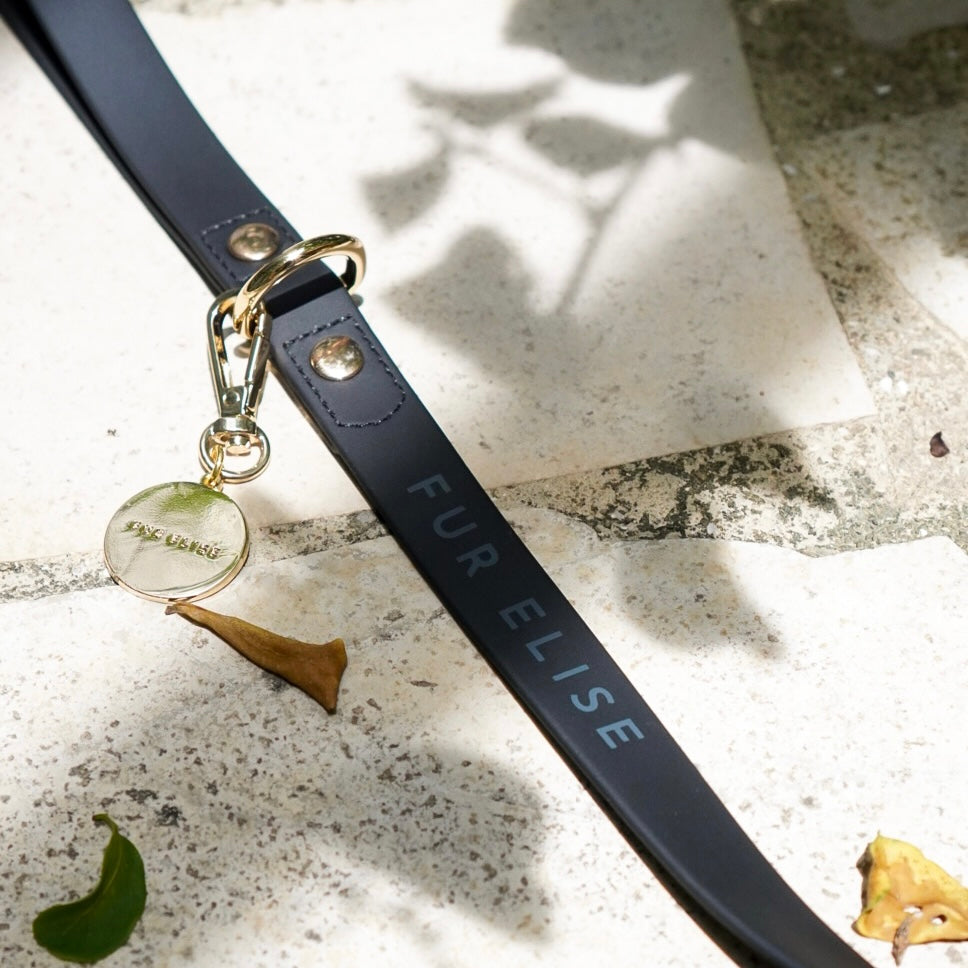 Elise Leash - Noir - Pet Leashes - Elise Galleria