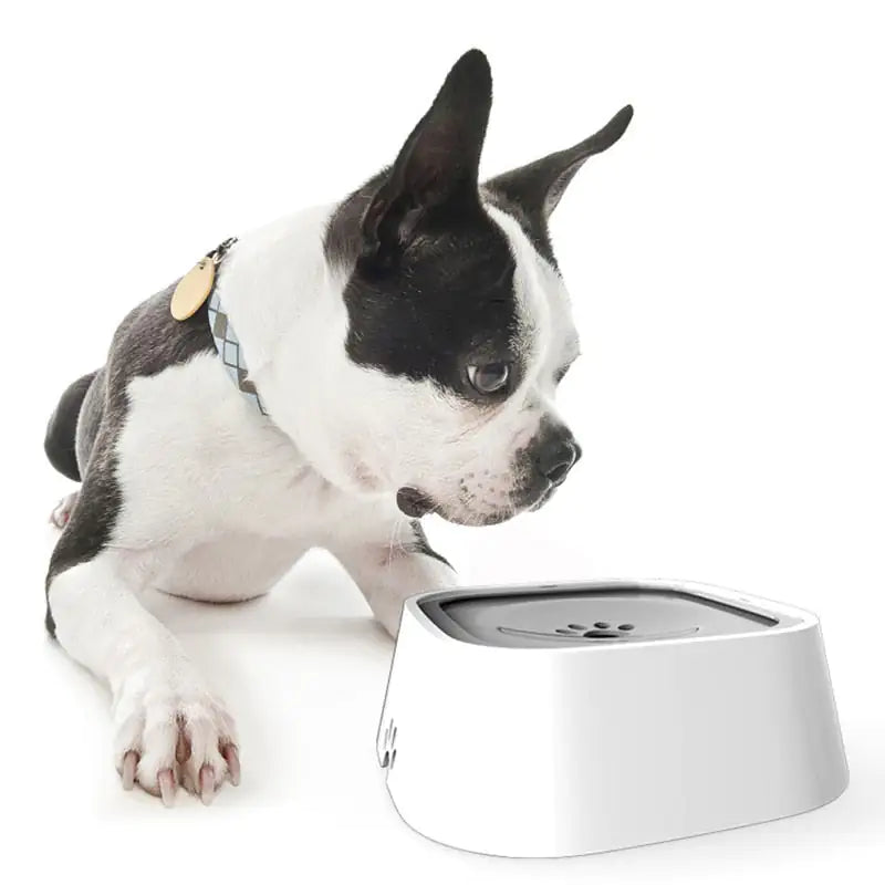 Your Pet Floating Water Bowl - Ameraeon