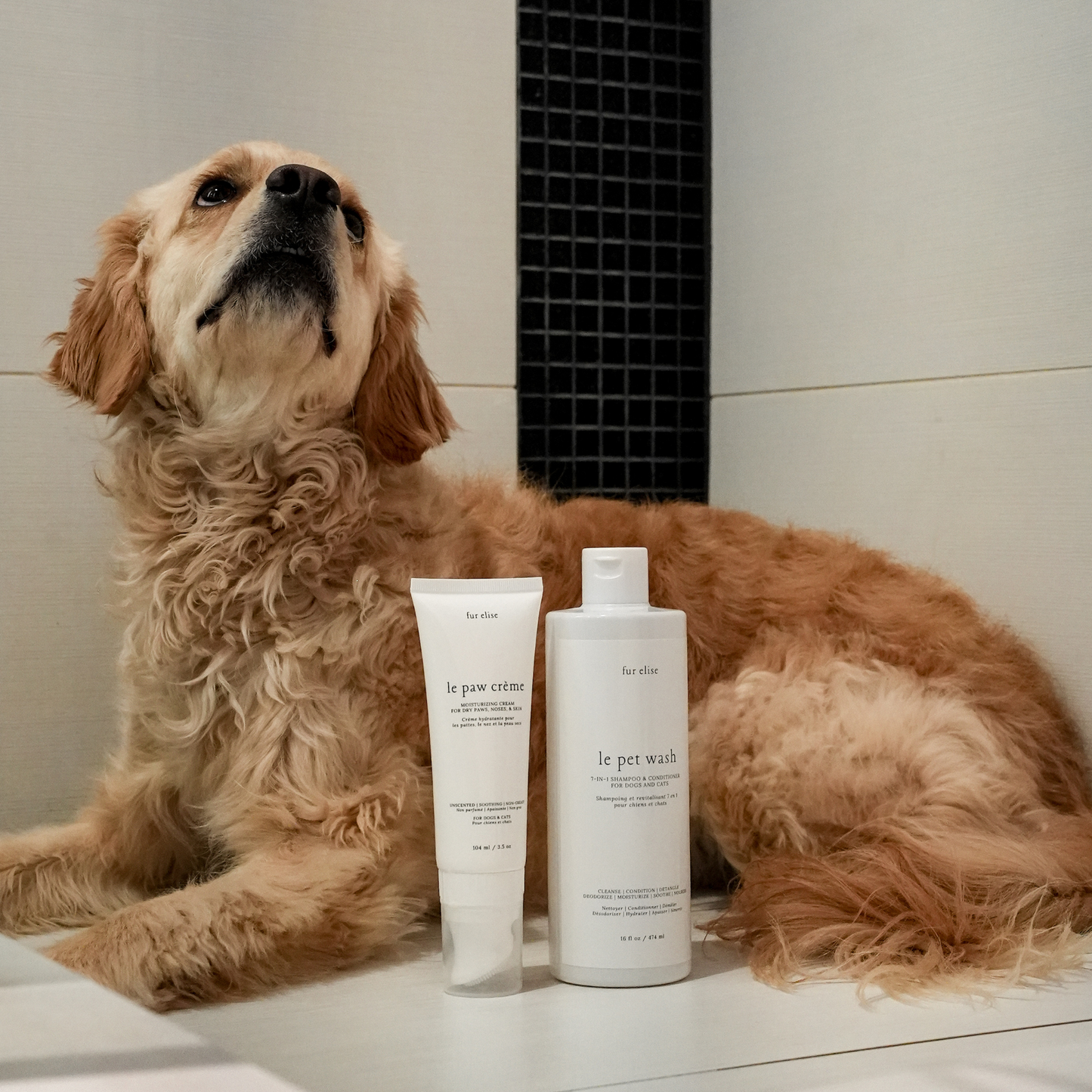 Le Grooming Set - Pet Grooming Set - Elise Galleria