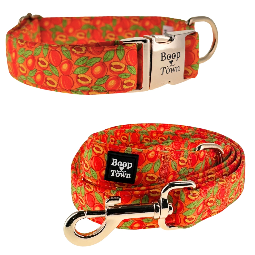 Dog Collar Leash Set Peaches Pattern 5.5oz ๐