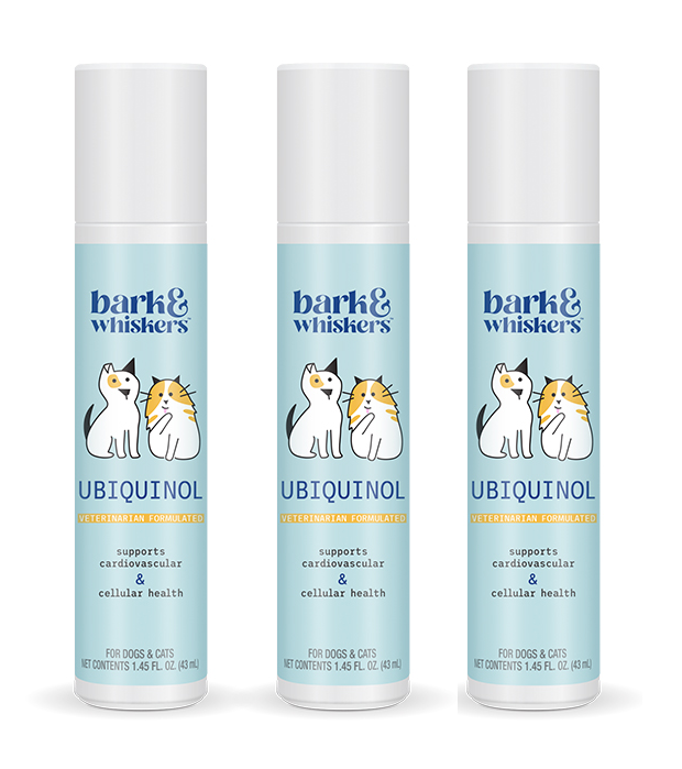 CELLULAR HEALTH / Ubiquinol For Pets - Health Products 4 All - ReNewedPet