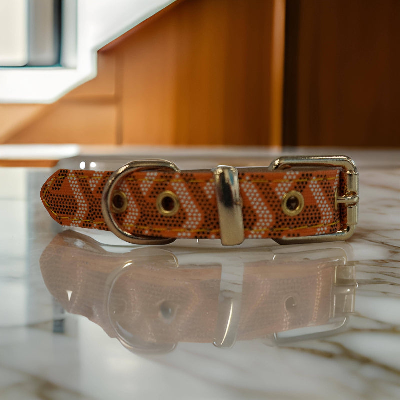 Morel Orange Luxury Pet Collar