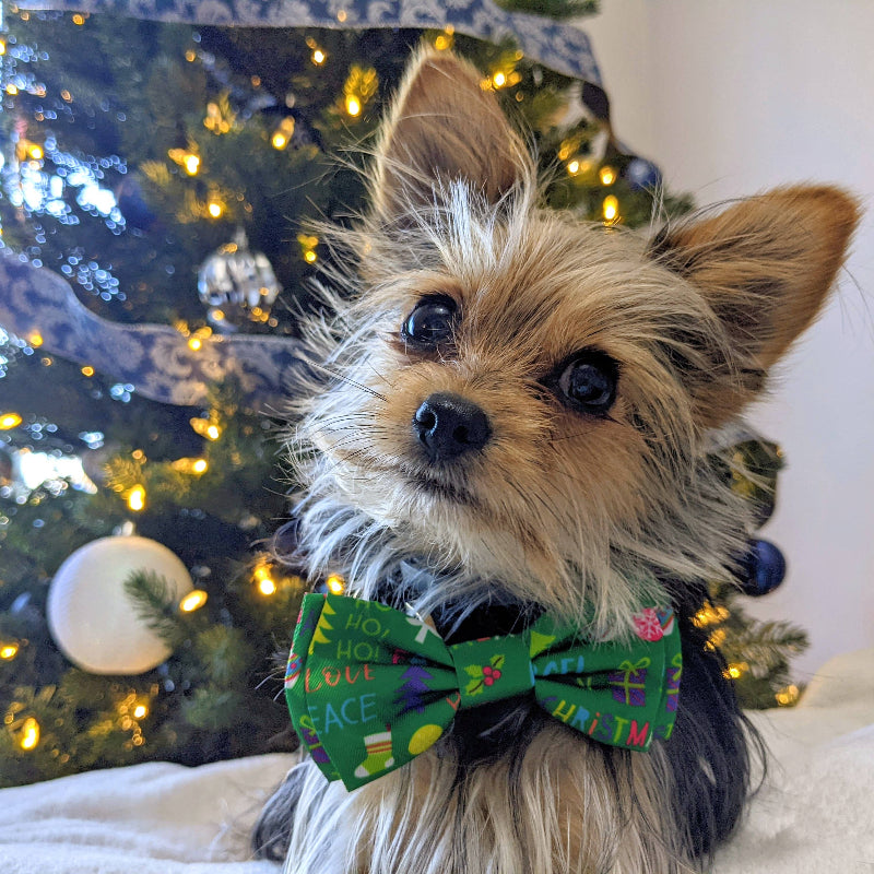 Merry & Bright Festive Holiday Pet Bow Tie - 3 Sizes