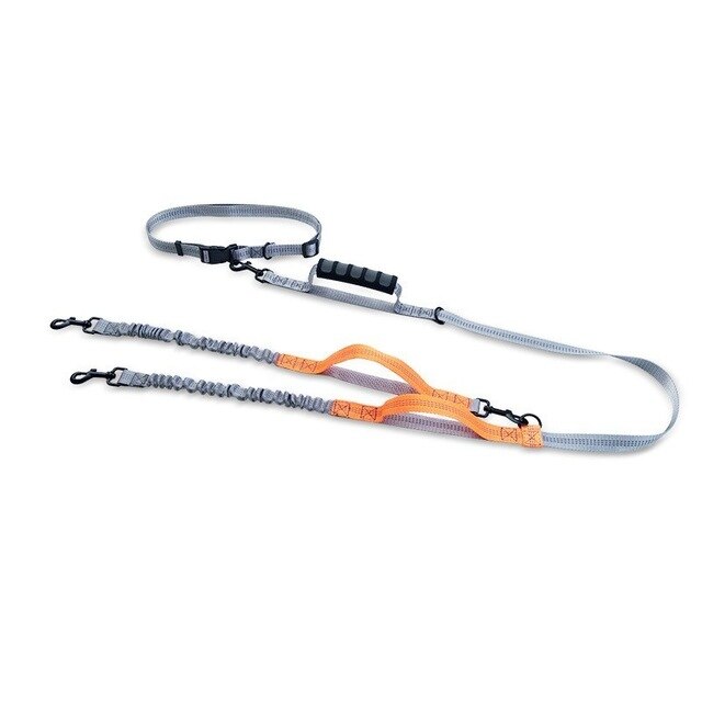 Dog Leash Hands Free Bungee Multifunctional Running ๐